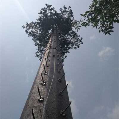 Custom Bionic Tree Tower, Scenic Area Beautification Communication Tower, Hidden Antenna Tower