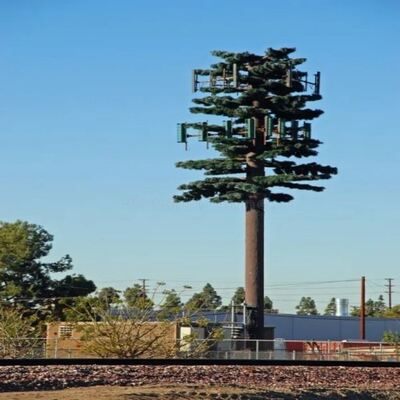 Customized 10m-60m Bionic Pine Tree Tower, Camouflage Communication Steel Monopole for Scenic Spot