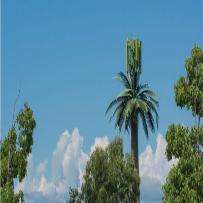 Bionic Tree Tower Steel Artificial Base Stable Signal Scenic Tourist 30-50 Year Telecommunication Towers & Accessories