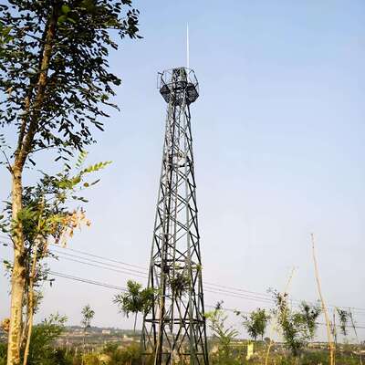 Lightning Tower Customized Steel Lightning Protection Tower with Height Range from 10 Meters to 60 Meters for Industrial Applications