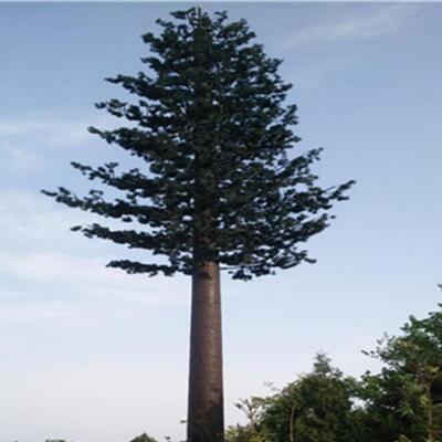 Realistic Bionic Tree Tower with customizable height and high strength corrosion resistant steel combining communication and landscape aesthetics
