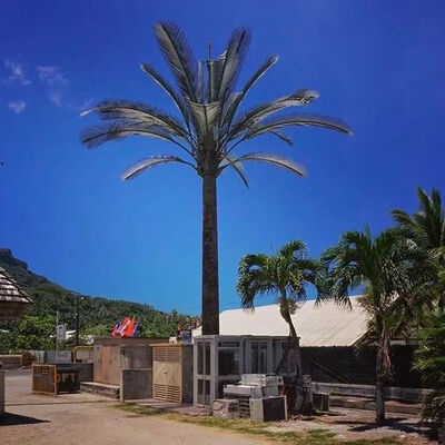 Multi-Antenna Concealment Bionic Tree Tower Camouflage Solution for 4G/5G Signals Steel Material 30-50 Year Service Life