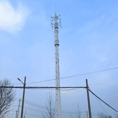 Monopole Tower Designed for Wind Speeds up to 60 Meters per Second with Seismic Resistance Grade 8 and Service Life of 30 to 50 Years