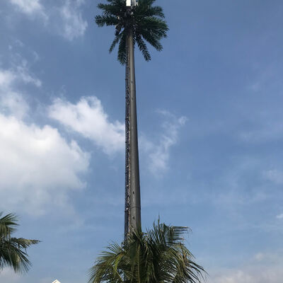 Customizable height Bionic Tree Tower with wind resistant steel structure and natural tree appearance ideal for communication in national parks