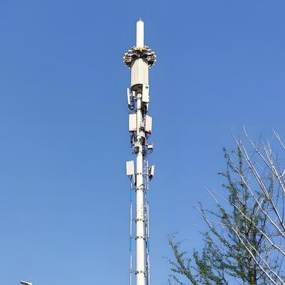 Q235/Q355/Q420 30m Self-Supporting Steel Monopole Tower for Telecom Communication & Wifi