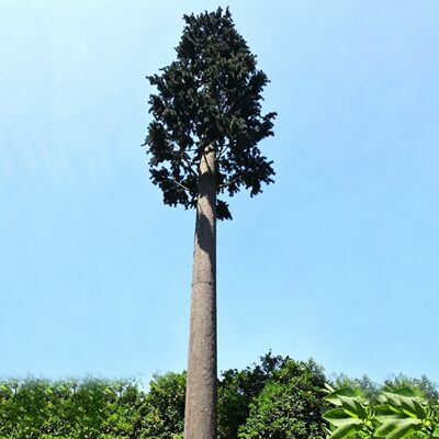 Single Tube Bionic Tree Mobile Communication Tower with Hot Dip Galvanized Steel Customized Color Shape 30-50 Year Service Life