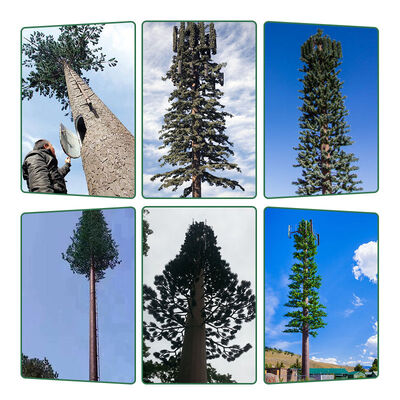 Single Tube Bionic Tree Mobile Communication Tower with Hot Dip Galvanized Steel Customized Color Shape 30-50 Year Service Life
