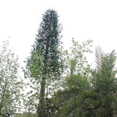 Steel Structure Advanced Bionic Tree Tower Hot Dip Galvanized Manual Customizable Communication Tower