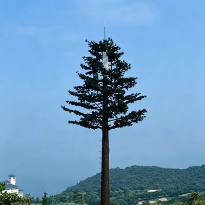 Customizable Bionic Tree Tower with simulated pine palm or banyan tree appearance providing communication coverage with corrosion resistance