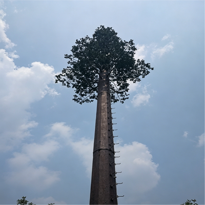 Customizable Bionic Tree Tower designed for communication function and natural landscape blending with wind resistance up to 55 meters per second