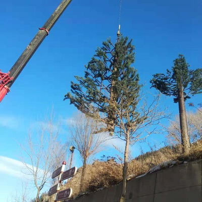 Custom Bionic Tree Tower, Scenic Area Beautification Communication Tower, Hidden Antenna Tower
