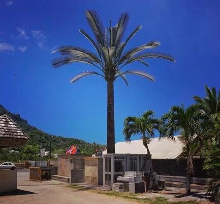 Custom Bionic Tree Tower, Scenic Area Beautification Communication Tower, Hidden Antenna Tower