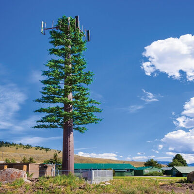 Customized 10m-60m Bionic Pine Tree Tower, Camouflage Communication Steel Monopole for Scenic Spot