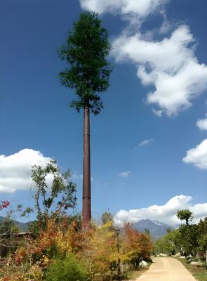 Customized 10m-60m Bionic Pine Tree Tower, Camouflage Communication Steel Monopole for Scenic Spot