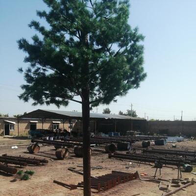 Bionic Steel Tree Self-Supporting Telecommunication Tower Three Support Legs 4G/5G Signal Transmission Hot Dip Galvanized High