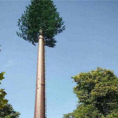 Bionic Tree Tower Communication Tower With Hot Dip Galvanized Steel Realistic Bionic Pine Palm Tree Appearance Customizable Height