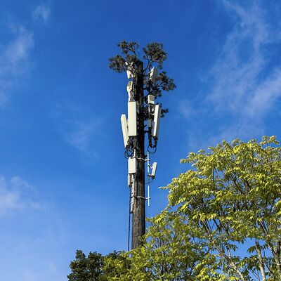 Realistic Bionic Tree Tower with customizable height and high strength corrosion resistant steel combining communication and landscape aesthetics
