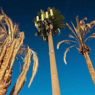 Multi-Antenna Concealment Bionic Tree Tower Camouflage Solution for 4G/5G Signals Steel Material 30-50 Year Service Life