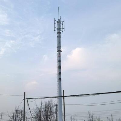 Monopole Tower Designed for Wind Speeds up to 60 Meters per Second with Seismic Resistance Grade 8 and Service Life of 30 to 50 Years
