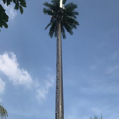 Customizable height Bionic Tree Tower with wind resistant steel structure and natural tree appearance ideal for communication in national parks