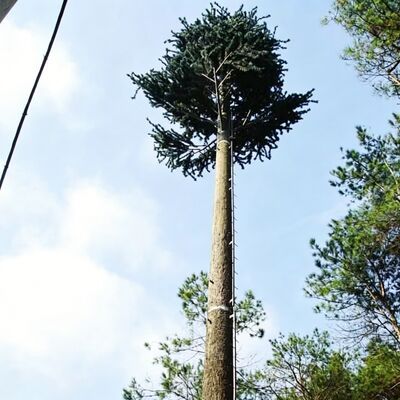 Hot dip galvanized Bionic Tree Tower with lifespans exceeding 30 years providing communication infrastructure with natural tree appearance