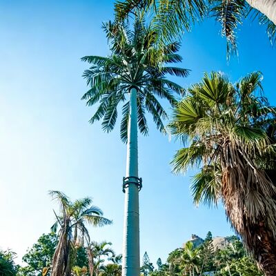 Customizable Bionic Tree Tower with simulated pine palm or banyan tree appearance providing communication coverage with corrosion resistance